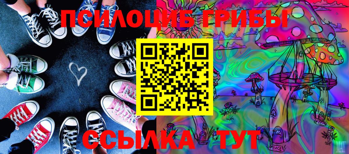 Мурманск  Псилоцибиновые грибы Psilocybe  Вход с VPN 
